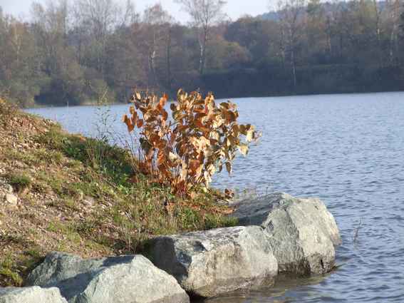 Lac de Ronchamps